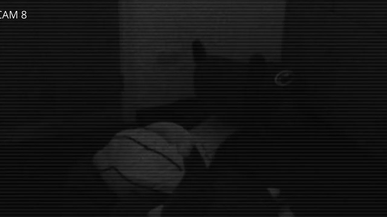 The Hugo incident
