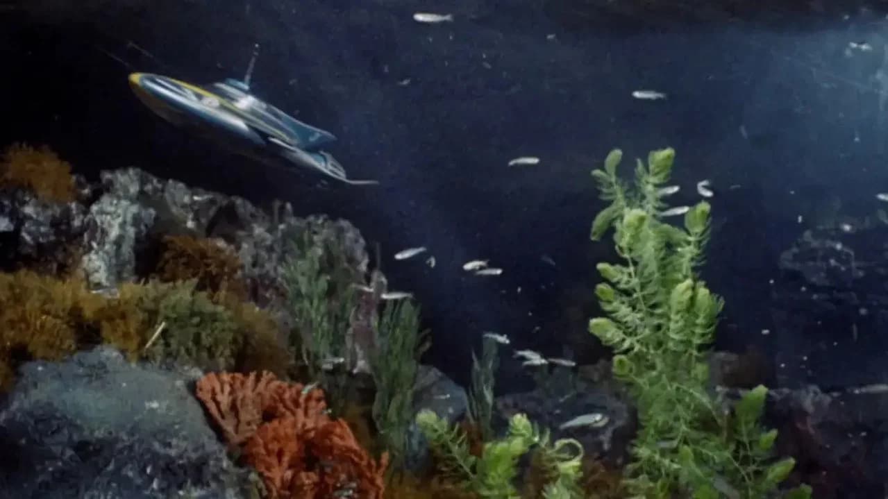 Stingray