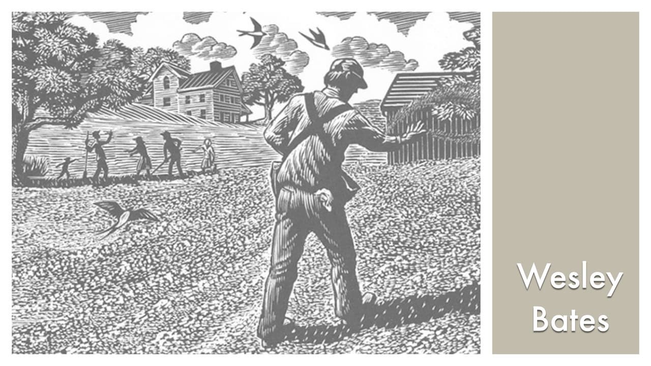 LOOK & SEE: Wesley W. Bates - Wood Engraver