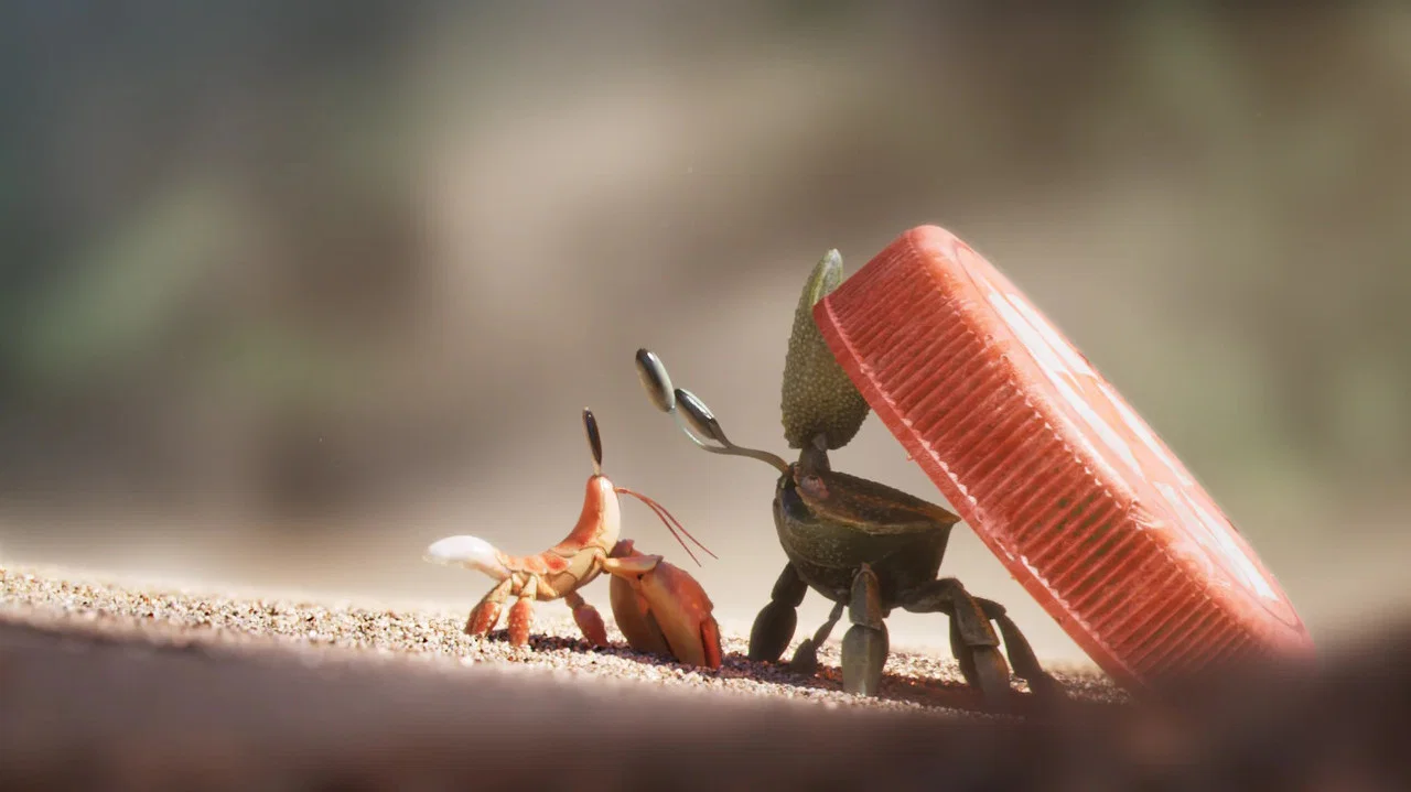 Shellfish