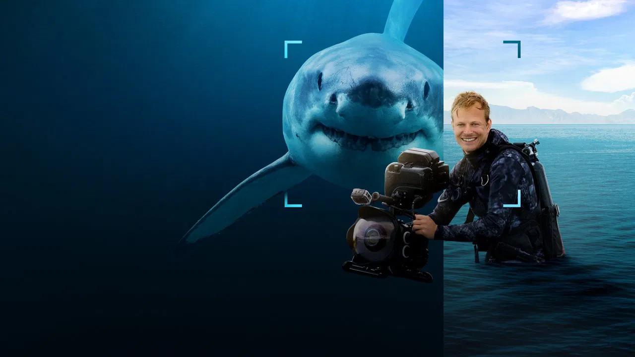 Sharks Up Close with Bertie Gregory