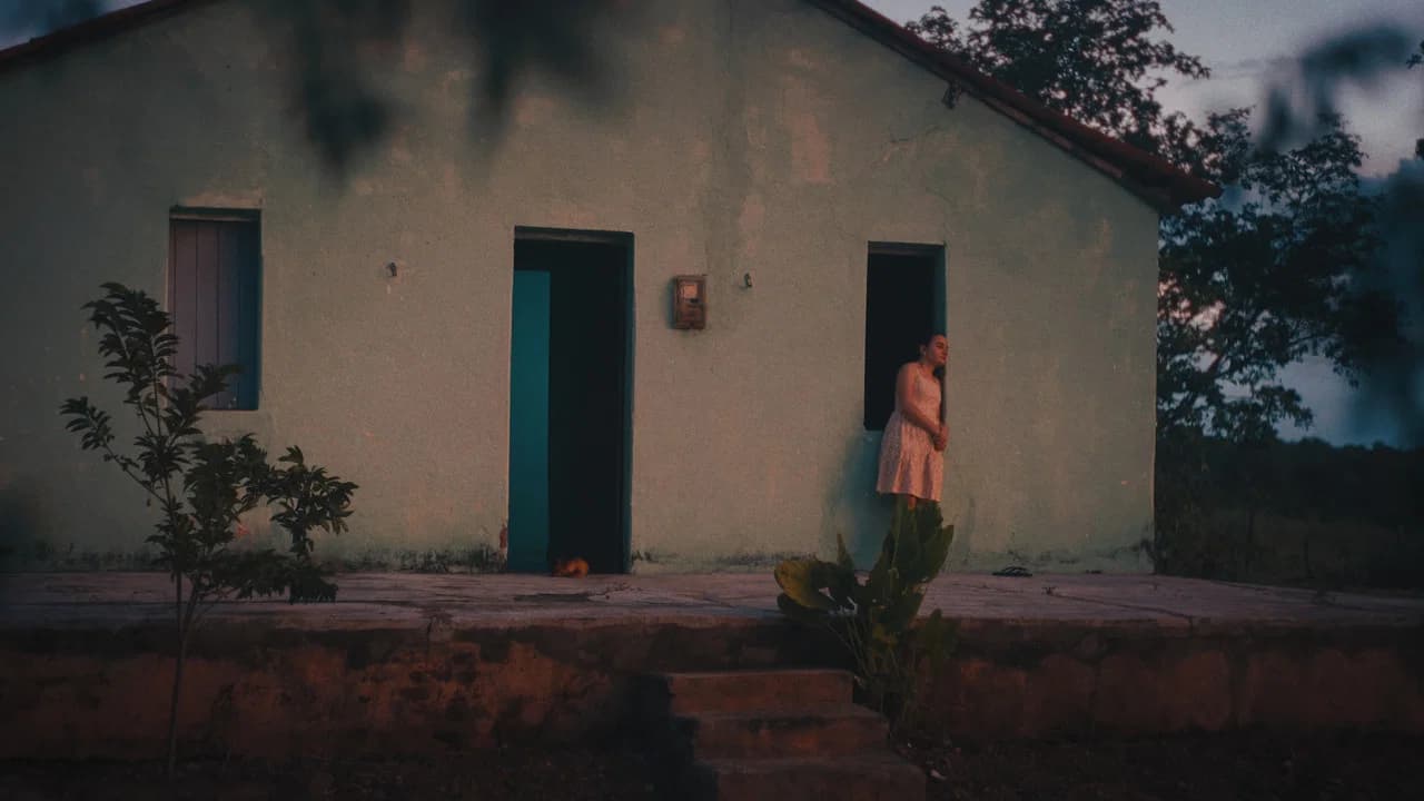 A Glimpse in Time