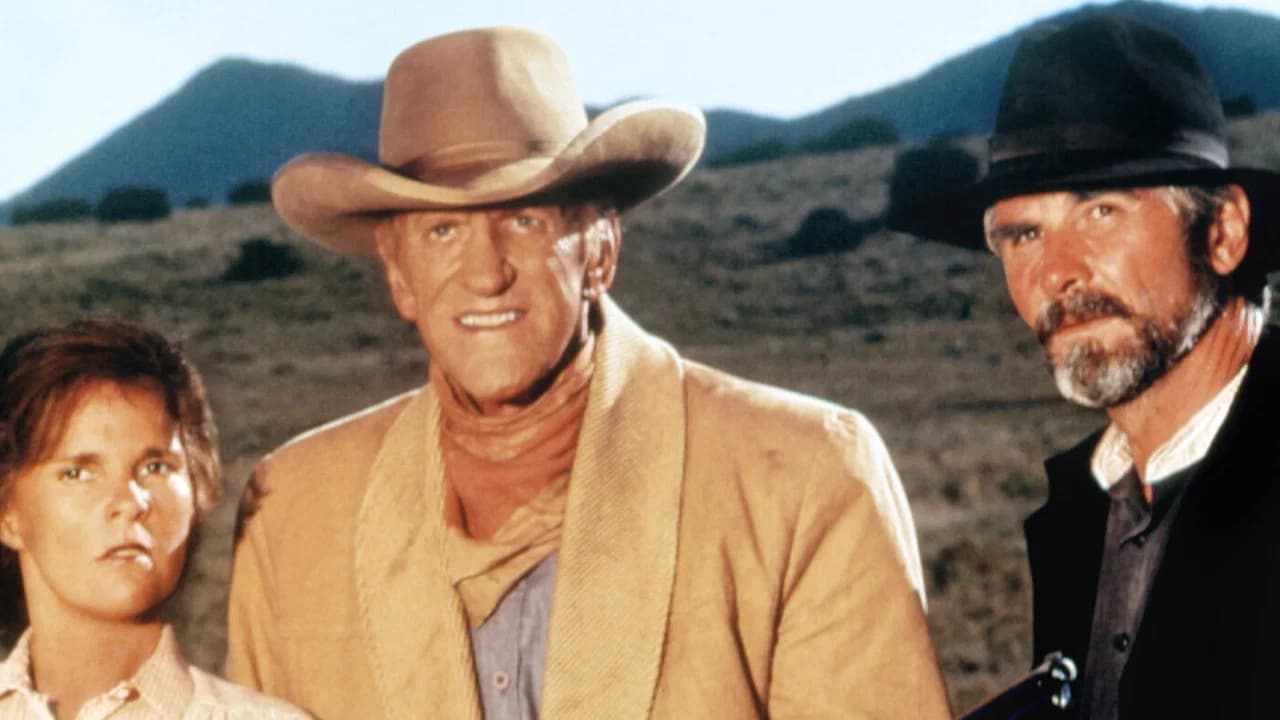 Gunsmoke: The Long Ride
