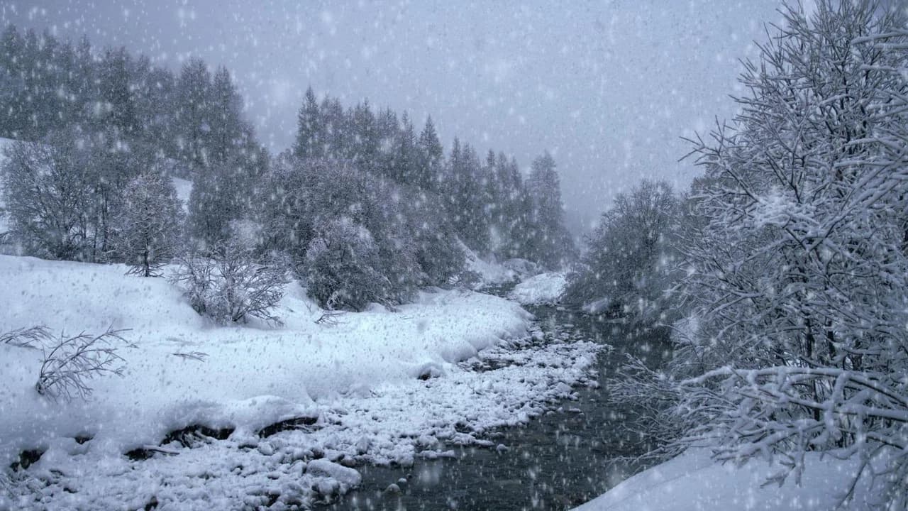 The Search for Snow