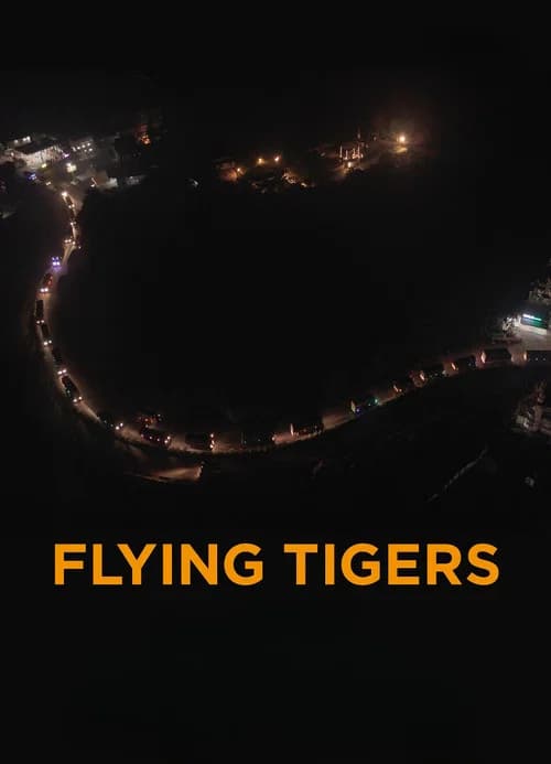 Flying Tigers