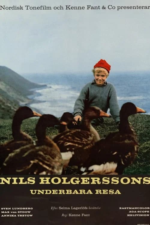 Wonderful Adventures of Nils