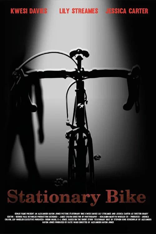 Stationary Bike