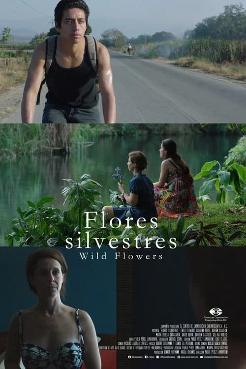 Wild Flowers