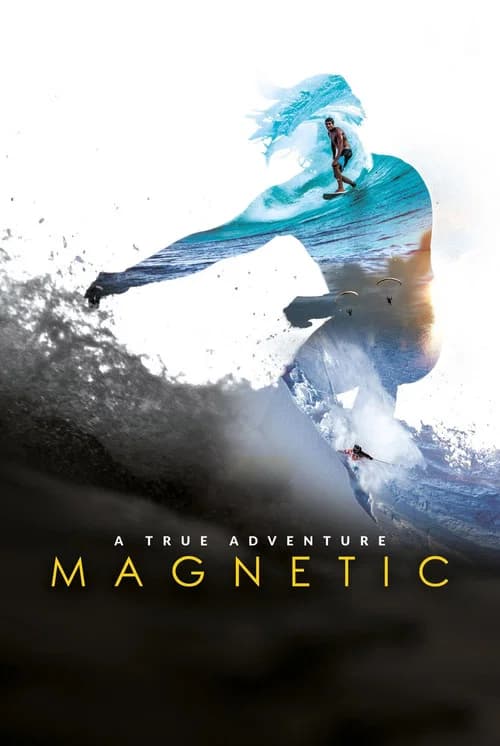 Magnetic