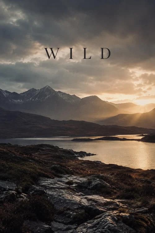 Wild