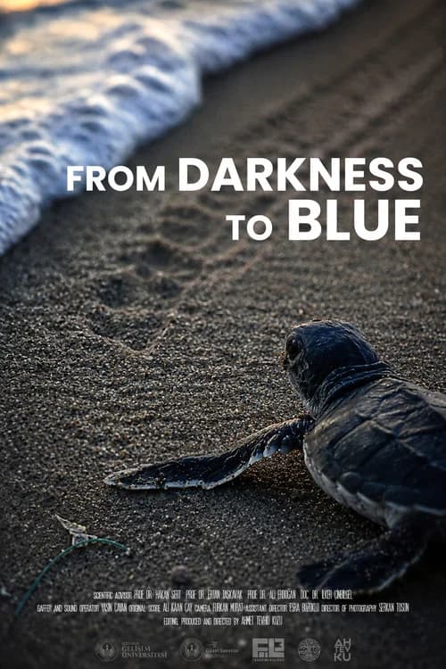 From Darkness to Blue