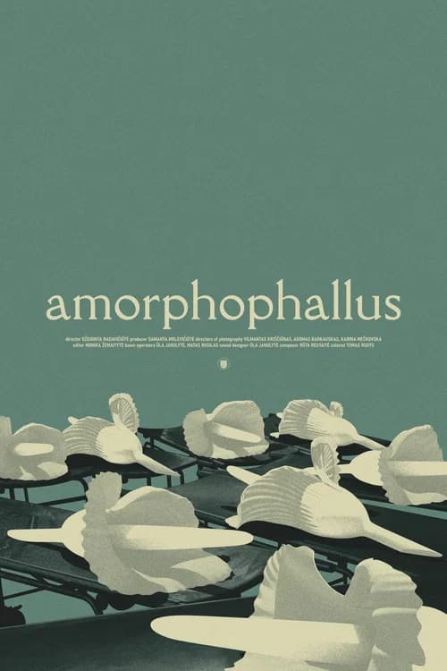 Amorphophallus
